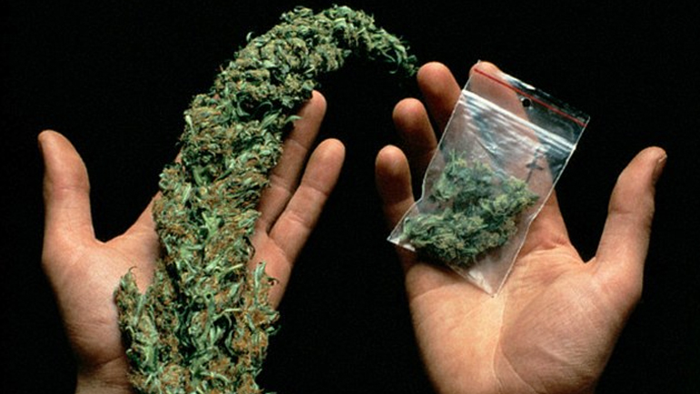 Χανιά: Σύλληψη 59χρονου με κάνναβη