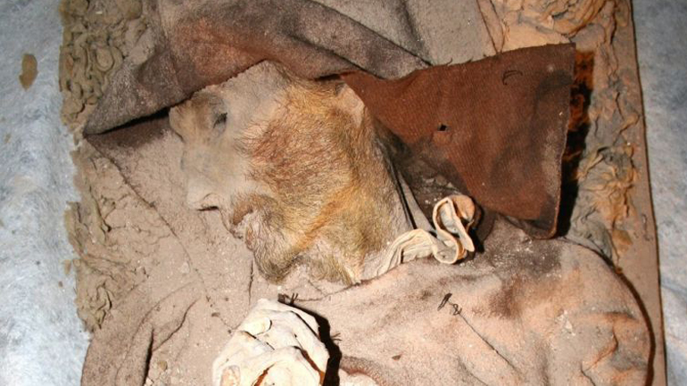 Μούμια που θυμίζει τον Βαν Γκογκ βρέθηκε στην Ισπανία‏