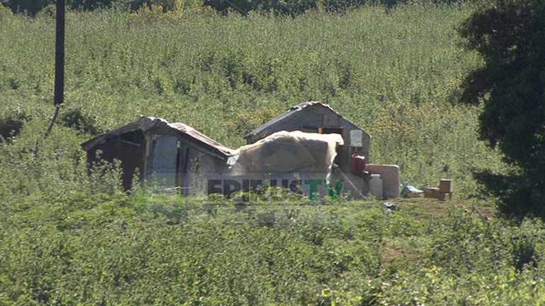 Προφυλακιστέοι οι δύο ομοεθνείς του 26χρονου Αλβανού που δολοφονήθηκε στην Γλυκή Θεσπρωτίας