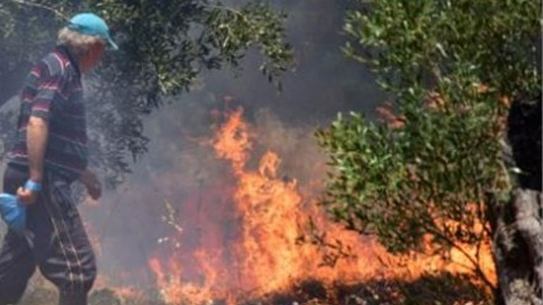 Κρήτη: Πήγε να κάψει ξερόκλαδα και έκαψε το δάσος!