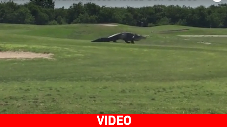 Ο… Σήφης της Φλόριντα βολτάρει σε γήπεδο του γκολφ