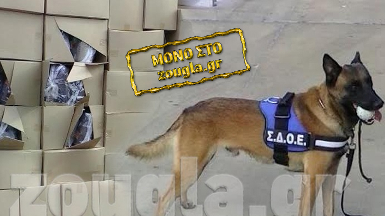 Πειραιάς: Μεγάλη επιχείρηση της Δίωξης του ΣΔΟΕ για κύκλωμα διακίνησης οπιούχων ναρκωτικών