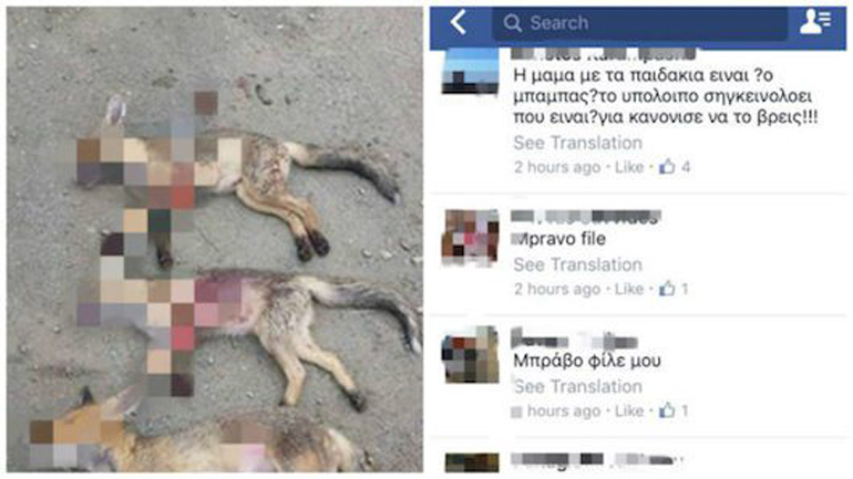 Κύπρος: Στα χέρια της δικαιοσύνης ο… «κυνηγός» αλεπούδων