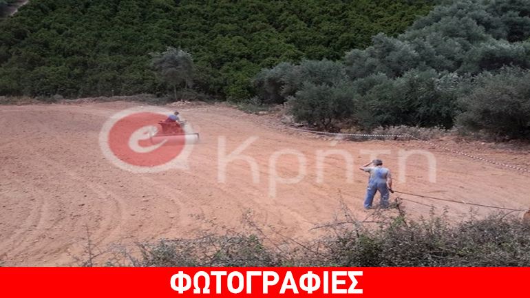 Κρήτη: Σπέρνει και θα… θερίσει 1,5 τόνο βιομηχανικής κάνναβης