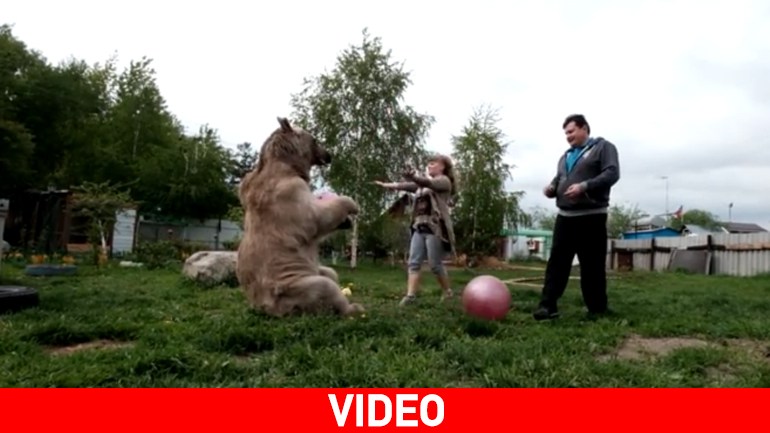 Οικογένεια στη Ρωσία έχει ως κατοικίδιο μια… αρκούδα!