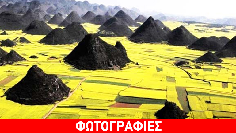 Ένας κίτρινος παράδεισος!