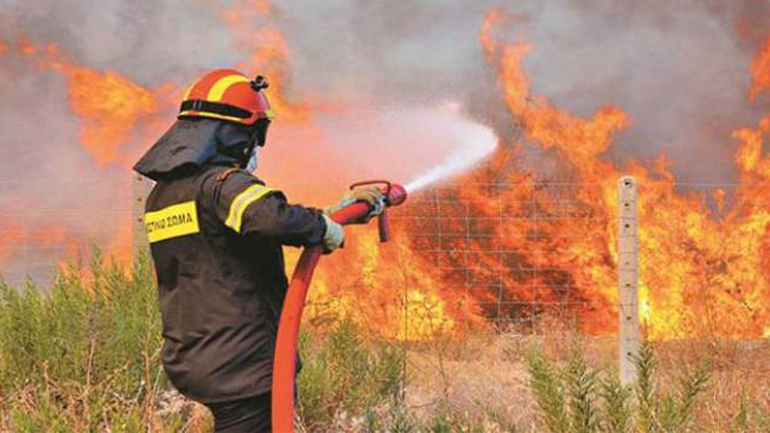Πυρκαγιά στη Δαφνούλα Ηλείας