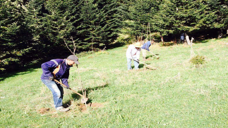 Ολοκληρώθηκε ο εμπλουτισμός βιοτόπων της αρκούδας στην περιοχή του Εθνικού Δρυμού Οίτης