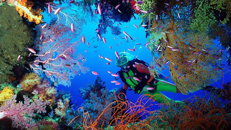 Παγκόσμια Ημέρα των Ωκεανών: Ο βυθός της θάλασσας είναι λιγότερο γνωστός από το σεληνιακό έδαφος