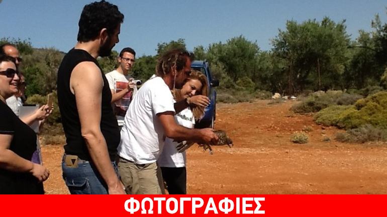 Στον κρητικό ουρανό γύπες και γεράκια