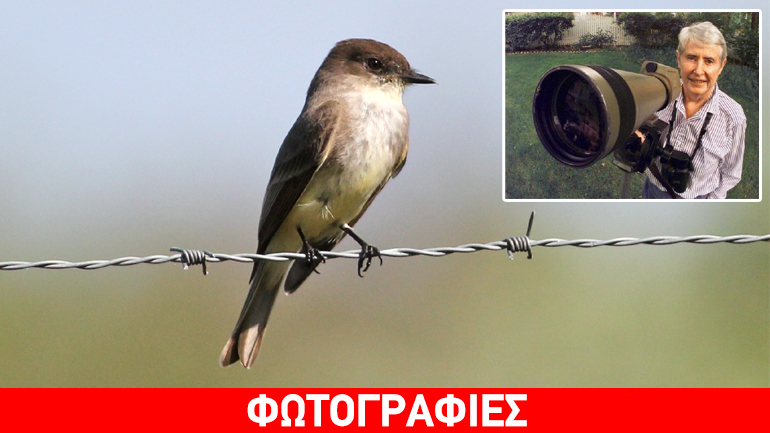 Η Google τιμά τη διάσημη παρατηρήτρια πουλιών Snetsinger