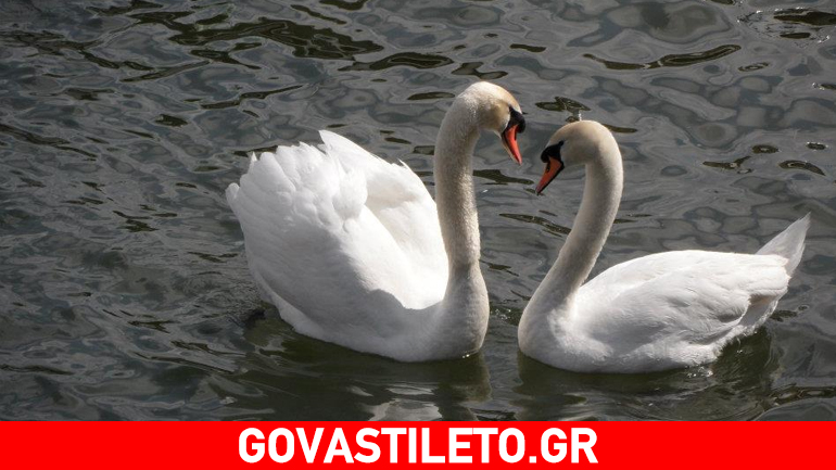 «Γεμίστε» το κρεβάτι σας: Το Φενγκ σούι του έρωτα!