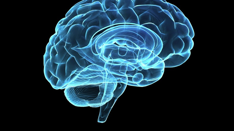 Μπορεί η εγκεφαλική δραστηριότητα να προβλέψει τις επικίνδυνες συμπεριφορές;