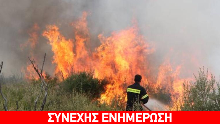 Πυρκαγιά στην Κνωσό Πυρκαγιά στην Κνωσό