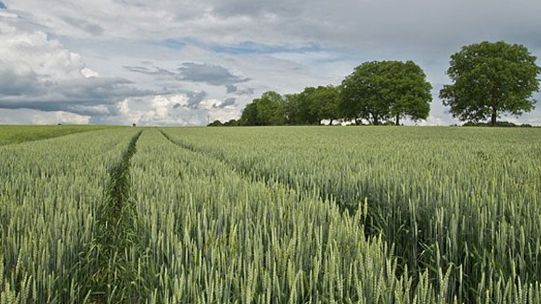 Πιο ευάλωτη η παγκόσμια παραγωγή λόγω παγκοσμιοποίησης