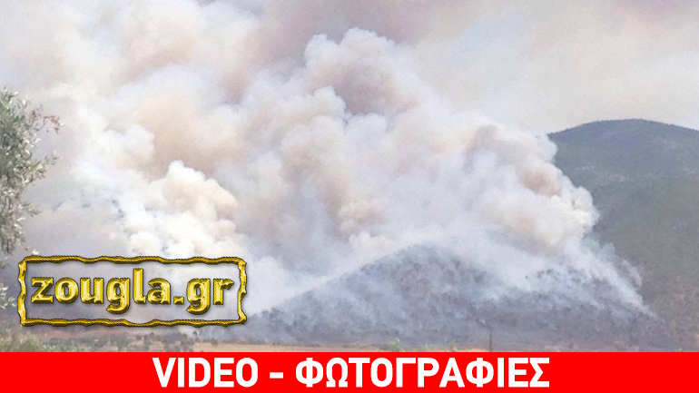 Σε εξέλιξη μεγάλη φωτιά στα Μέγαρα