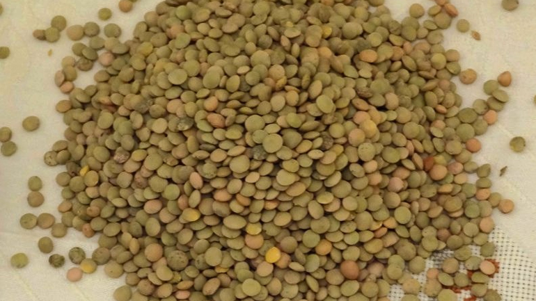 Διανομή τροφίμων στον Δήμο Ωραιοκάστρου Θεσσαλονίκης