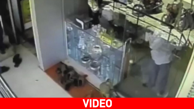 Ινδία: Μαϊμού κλέβει κοσμηματοπωλείο