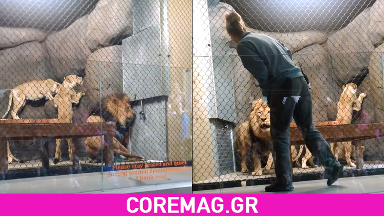 Έκλεισε την πόρτα και έκοψε την ουρά του λιονταριού
