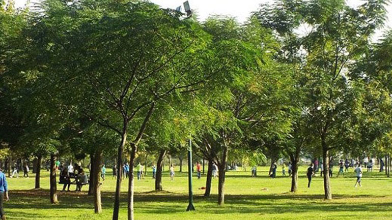 Τρίκαλα: Δημοτικά τα αναψυκτήρια σε Φρούριο, Ριζαριό