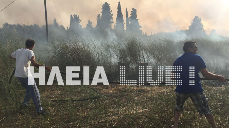 Ηλεία: Είκοσι στρέμματα έγιναν στάχτη σε ένα απόγευμα