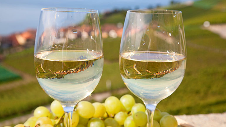 Αύξηση 407% για τις εξαγωγές ελληνικού κρασιού στη Νότια Κορέα