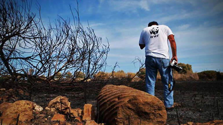 WWF Ελλάς: Σοβαρή ανησυχία για την ετοιμότητα του κράτους απέναντι στους κινδύνους πυρκαγιών