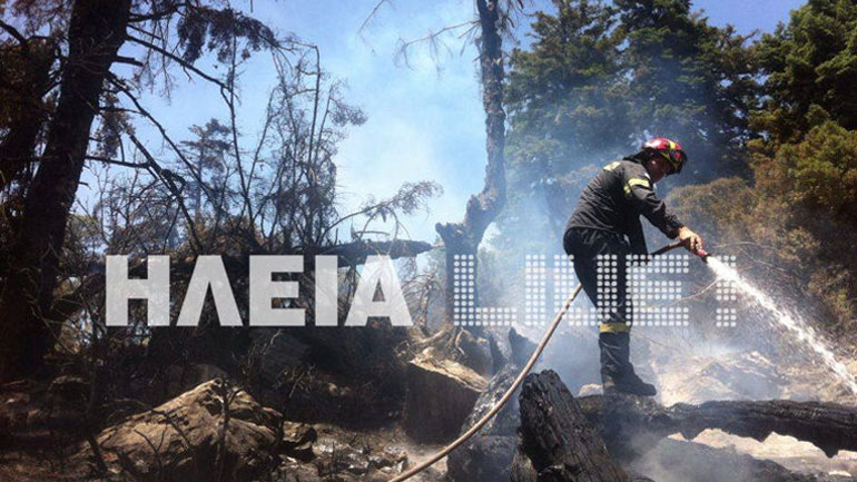 Κρυόβρυση Ηλείας: Στάχτη πέντε στρέμματα με έλατα