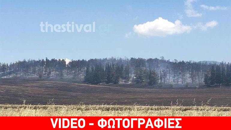 Τέσσερις πυρκαγιές στη Θεσσαλονίκη Τέσσερις πυρκαγιές στη Θεσσαλονίκη