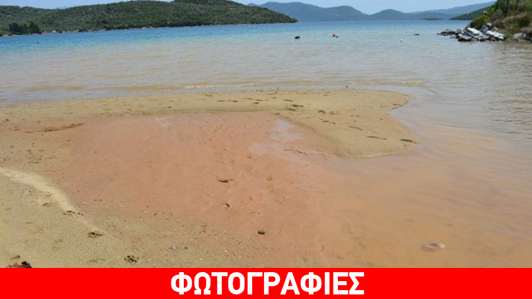Φθιώτιδα: Κραυγή αγωνίας για την όμορφη παραλία του Βαθύκοιλου
