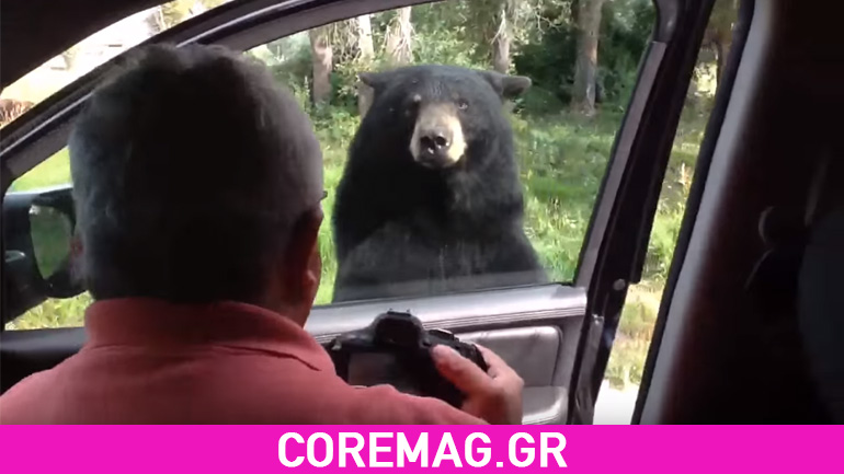 Είχε πλάκα μέχρι που η αρκούδα άνοιξε την πόρτα..