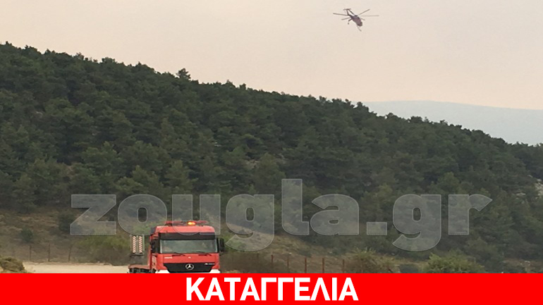 Έκκληση πυροσβεστών από τα Δερβενοχώρια: “Μας έχουν αφήσει χωρίς νερό και φαγητό”
