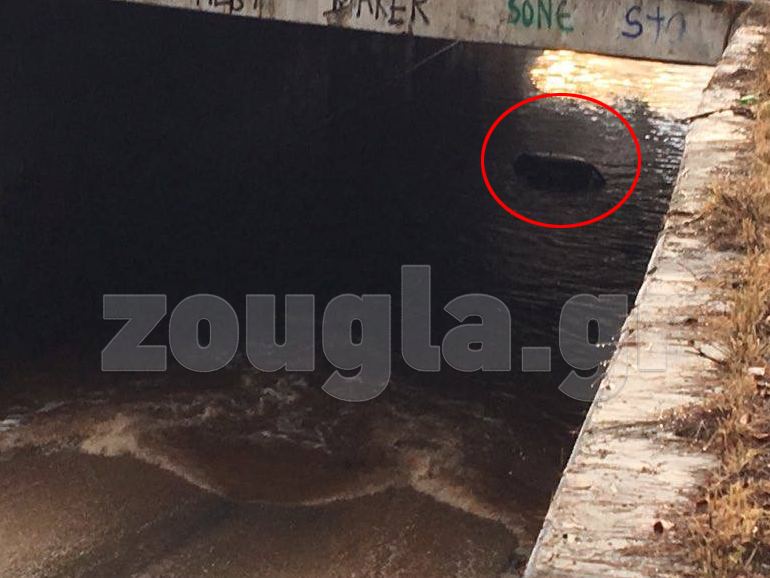 Ο χείμαρρος που κατέκλυσε το όχημα