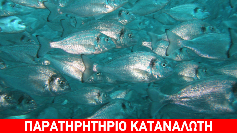 Δέσμευση τριών φορτίων ιχθυάλευρων στο τελωνείο του Πειραιά