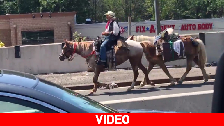 Καουμπόης προκαλεί μποτιλιάρισμα σε γέφυρα της Νέας Υόρκης