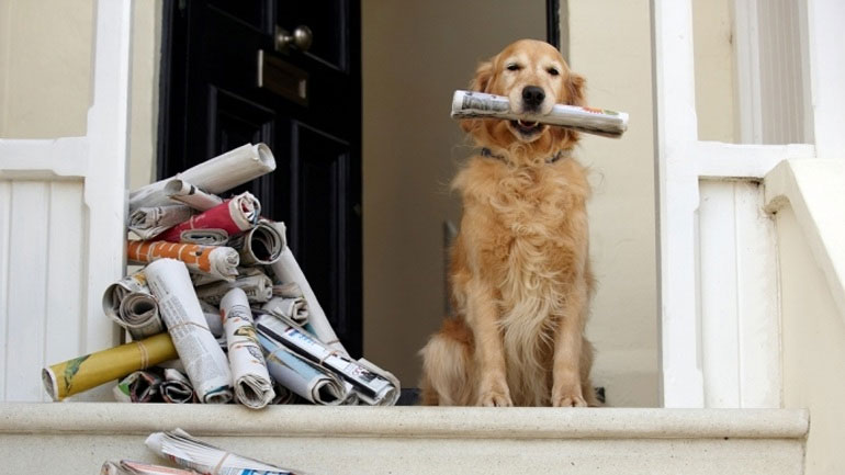 Τα πρωτοσέλιδα των εφημερίδων της Πέμπτης