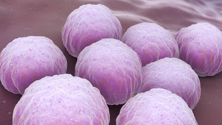 Νέες οδηγίες για τον έλεγχο των χλαμυδίων