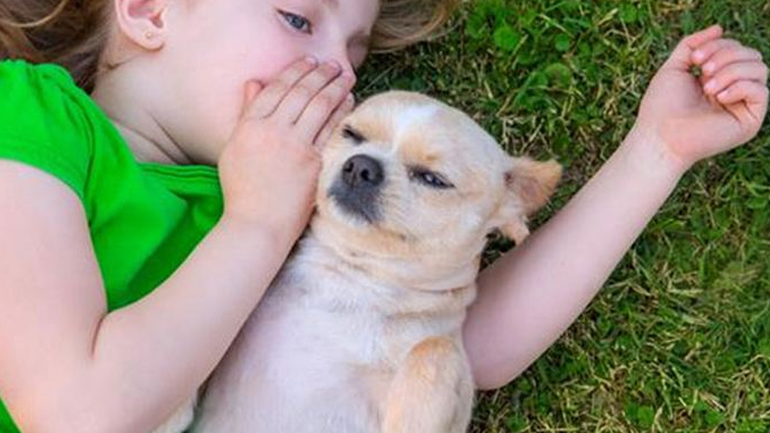Τι να προσέξετε πριν πάρετε ένα κατοικίδιο στο παιδί σας
