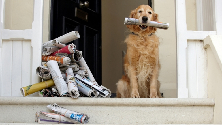 Τα πρωτοσέλιδα των εφημερίδων της Παρασκευής