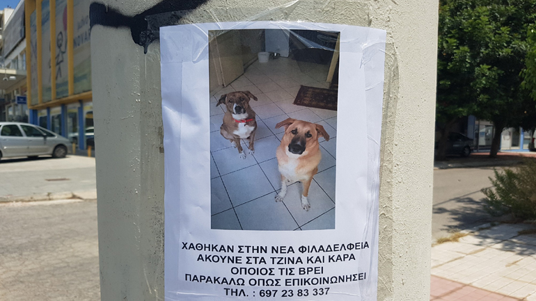 Χάθηκαν η Κάρα και η Τζίνα μετά από τροχαίο στη Νέα Φιλαδέλφεια -έκκληση για την ανεύρεσή τους