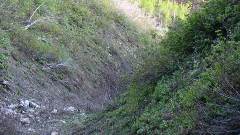 Τραγωδία στη Φθιώτιδα – Ηλικιωμένος βρέθηκε νεκρός σε χαράδρα
