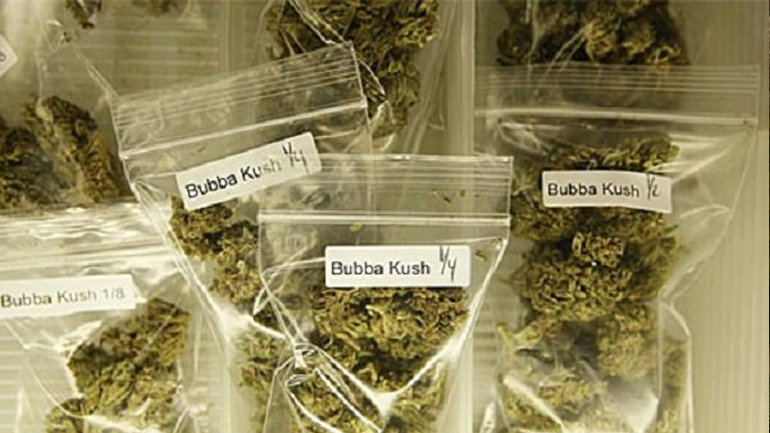 Βολιβία: Η αστυνομία κατάσχεσε 1,5 τόνο κάνναβης