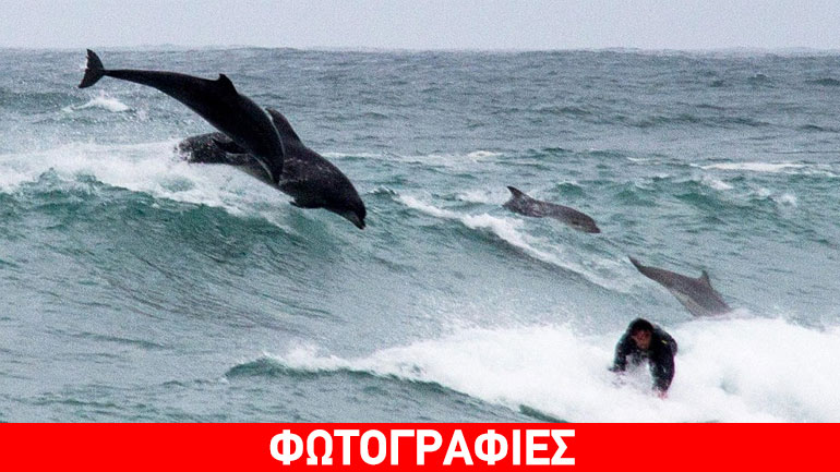 Δελφίνια παίζουν με σέρφερ σε παραλία της Βρετανίας