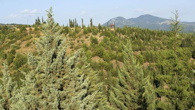 Θεσσαλονίκη: Εθελοντές περιπολούν από αέρος για την προστασία του Σέιχ Σου