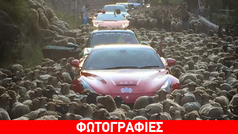 Supercars πολιορκήθηκαν από πρόβατα!