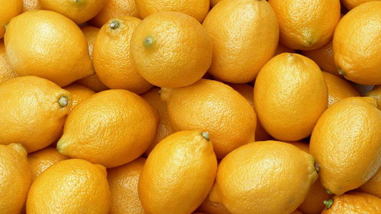 164 τόνοι ακατάλληλων λεμονιών, προέλευσης Τουρκίας, εντοπίστηκαν στο Τελωνείο Κήπων Έβρου