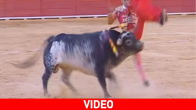 Ταυρομάχος έχασε τη ζωή του στην αρένα – Ο πρώτος θάνατος εδώ και 30 χρόνια στις ισπανικές αρένες Ταυρομάχος έχασε τη ζωή του στην αρένα – Ο πρώτος θάνατος εδώ και 30 χρόνια στις ισπανικές αρένες