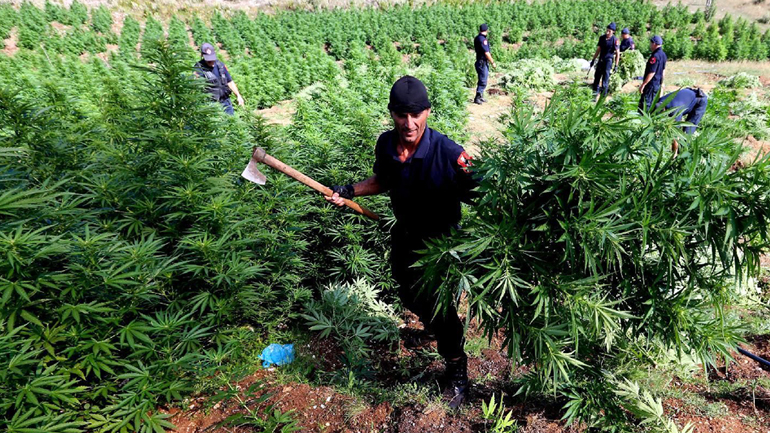 Η Κολομβία των Βαλκανίων