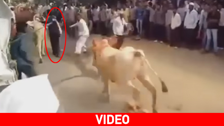 Ταύρος… άλτης στην Ινδία