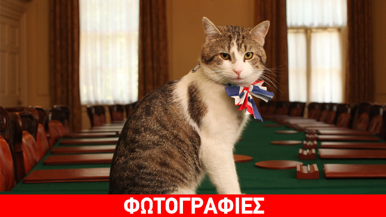 Ο Κάμερον φεύγει, ο Λάρι ο γάτος παραμένει Ο Κάμερον φεύγει, ο Λάρι ο γάτος παραμένει